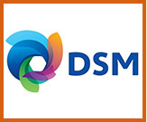 DSM